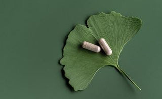 Exploring the Benefits of Ginkgo Supplement - Power Health