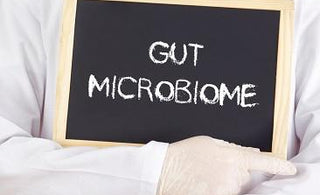 Unlocking the Power of Gut Health with vitamins - Power Health