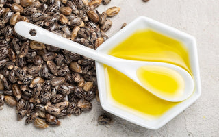 Castor Oil Benefits: Your Complete Guide to the Natural Multitasker