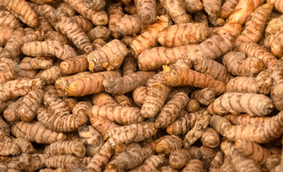 Why Turmeric Remains a Wellness Favourite