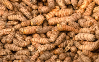 Why Turmeric Remains a Wellness Favourite