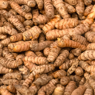 Why Turmeric Remains a Wellness Favourite