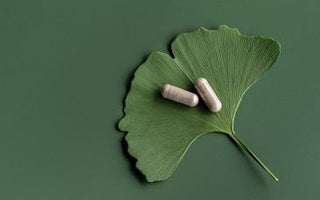 Exploring the Benefits of Ginkgo Supplement - Power Health