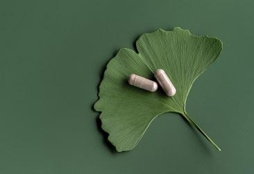 Exploring the Benefits of Ginkgo Supplement - Power Health
