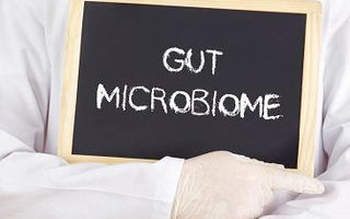 Unlocking the Power of Gut Health with vitamins - Power Health