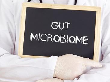 Unlocking the Power of Gut Health with vitamins - Power Health