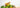 What are botanical supplements? - Power Health